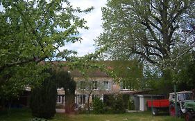 Gite Du Vieux Tilleul