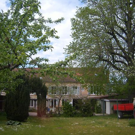 Gite Du Vieux Tilleul Fère-en-Tardenois Exterior foto