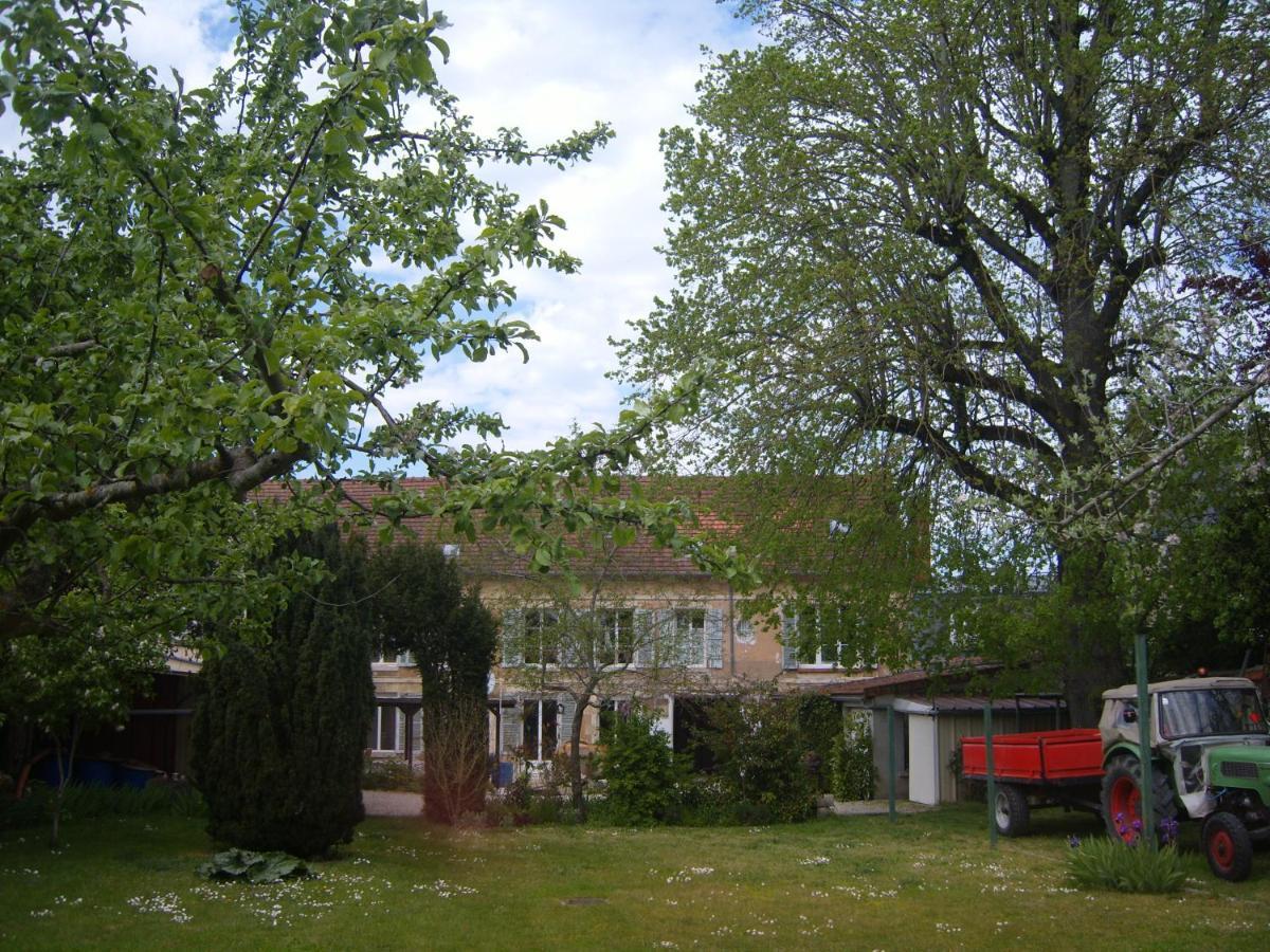 Gite Du Vieux Tilleul Fère-en-Tardenois Exterior foto