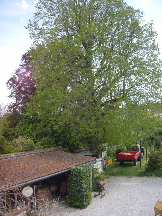 Gite Du Vieux Tilleul Fère-en-Tardenois Exterior foto
